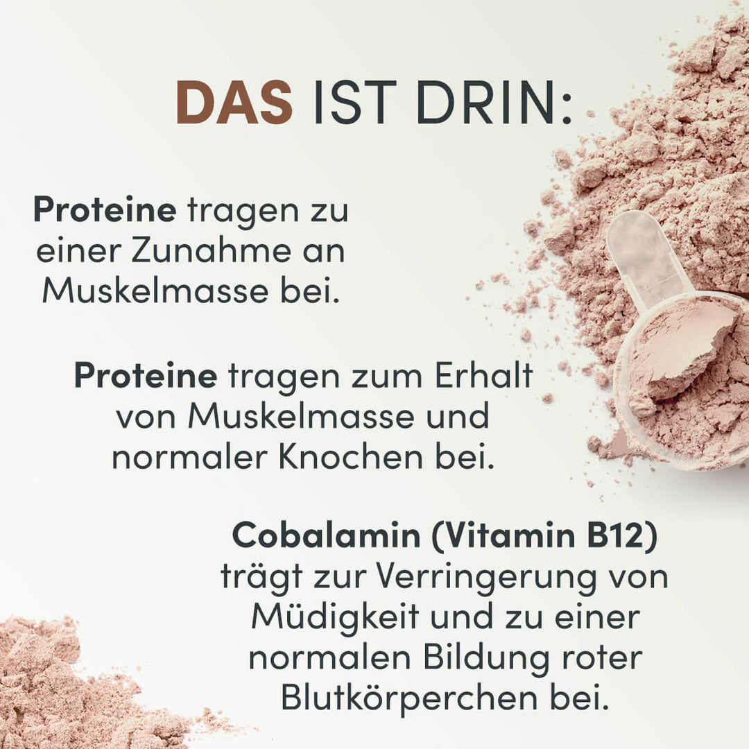 Veganes 3K Protein 420g | Kaffee Proteinshake | Shape Republic